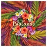 Bailando - Extended Mix