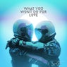 What You Won't Do For Love