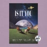 Is It You