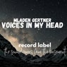 Voices In My Head (Extended mix)