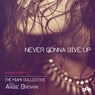 Never Gonna Give Up (Remixes Part 1)