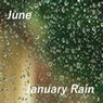 January Rain