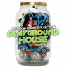 Playground House, Vol. 6 (Big Room House Collection)