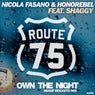 Own The Night (Miami Rockets Mix)