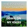 Down on My Knees (feat. Julia Dee)