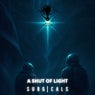 A SHUT OF LIGHT