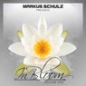Markus Schulz presents In Bloom EP