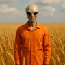 Lost in Space