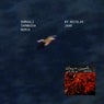 Shmaali ????? Tarweeda (Nicolas Jaar Remix)