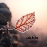 Cold as Ice