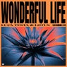 Wonderful Life (Extended Mix)