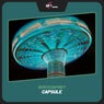 Capsule