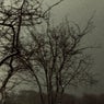 A Letter From The Silent Village
