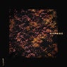 Hyphae