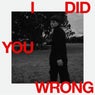 I Did You Wrong - Extended Mix