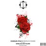 People's Power (incl. Gianluca Rattalino Remix)