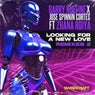 Looking For a New Love (Remixes 2)