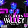 Regrets Valley