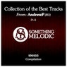 Collection of the Best Tracks From: Andrewp (Ru), Pt. 1