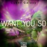 Want You So