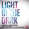 Light in the Dark (feat. Lisa Violet)