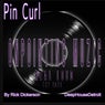 Pin Curl (Original Mix)