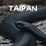 Taipan