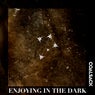 Enjoying in the Dark
