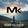 Wait in Light