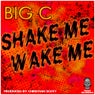 Shake Me Wake Me