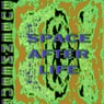 Space After Life