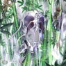 Silver Cloak