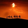 Legend of Desert