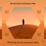 Missing you - Liverpool edit