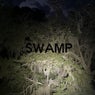 SWAMP