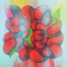 Shapes and Flowers