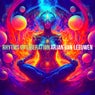 Rhytms of Liberation