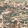 Camouflage