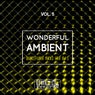Wonderful Ambient, Vol. 5 (Dancefloor Picks For DJ's)