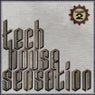 Tech House Sensation, Vol. 2 (Best Clubbing Tech House Tracks)
