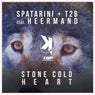 Stone Cold Heart (feat. Heermand)