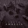 Amnesia