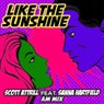Like The Sunshine (AM Mix)