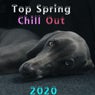 Top Spring Chill Out 2020