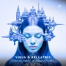 Special Minds (Monolock Remix)