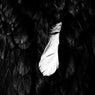 Liminal