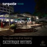 You Give Me That Feeling (Turquoise Remix)
