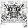 Gnostic Knowledge