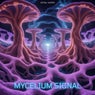 Mycelium Signal