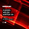Welsh Winter VA: 001